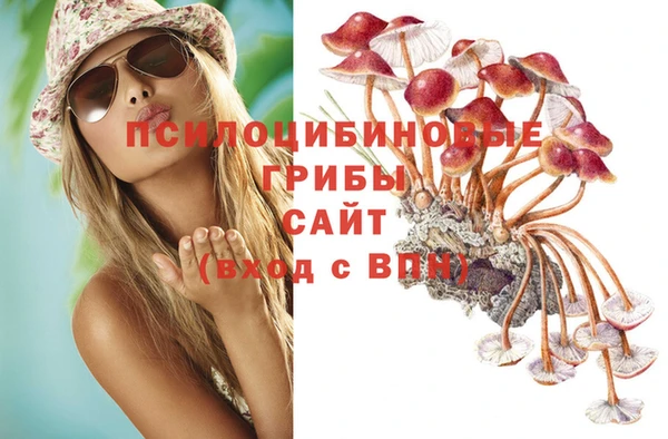таблы Аркадак