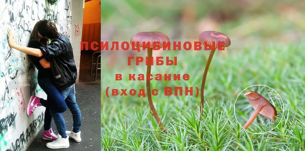 mix Арсеньев