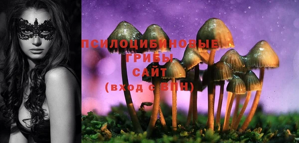 mix Арсеньев
