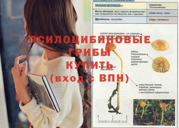 таблы Аркадак