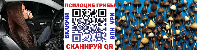 Псилоцибиновые грибы мухоморы  Суворов 